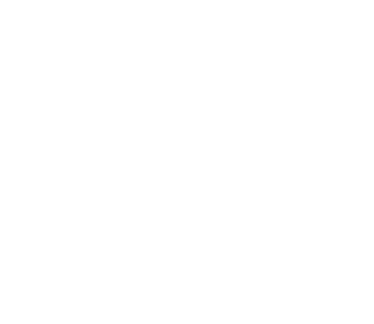 GoEvaluator Logo